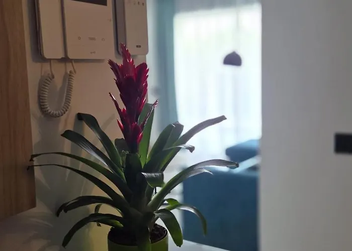 Appartement Casa Galene - Terrace & Heated Pool Costa Adeje (Tenerife)