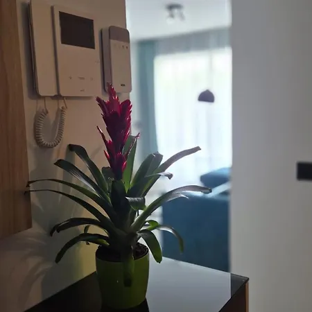 Lägenhet Casa Galene - Terrace & Heated Pool Costa Adeje (Tenerife)